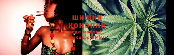 гидра Костерёво