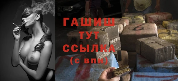 гидра Костерёво