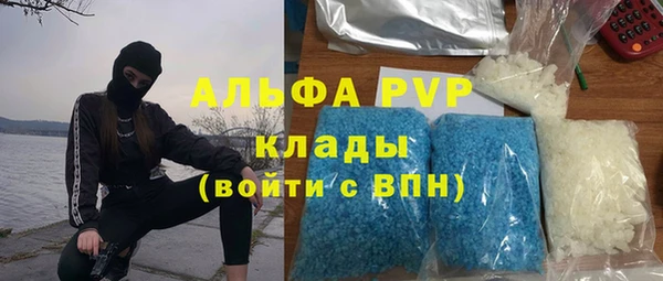 гидра Костерёво