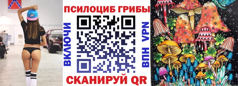 Галлюциногенные грибы Psilocybine cubensis  купить наркотик  Тихорецк 